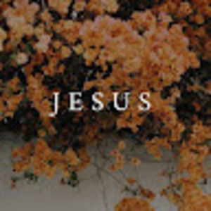 Meet your Posher, Valerie